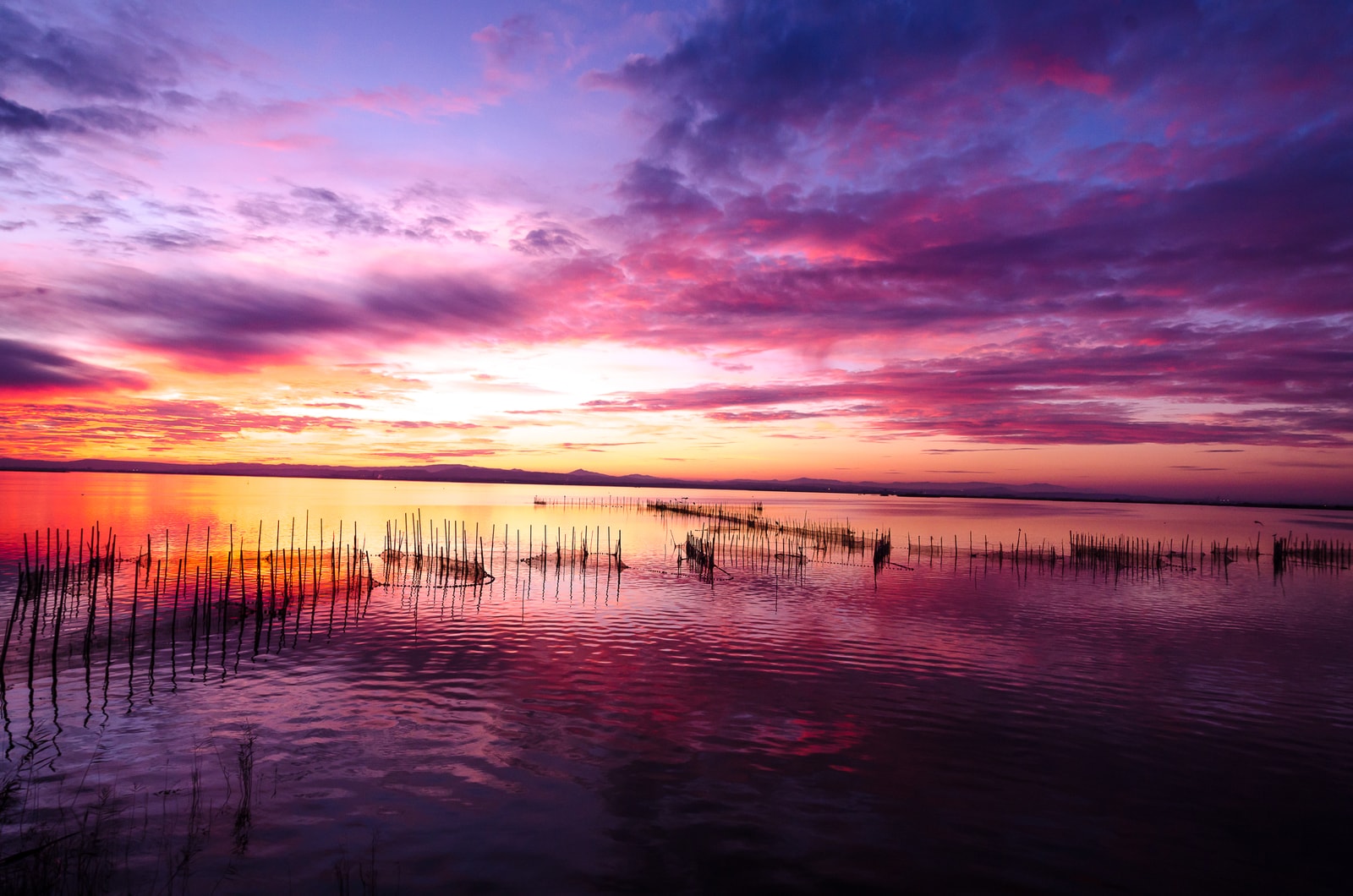 A stunning sunset over the calm waters of the Albufera lagoon, with vibrant purple and orange clouds reflected on the surface.