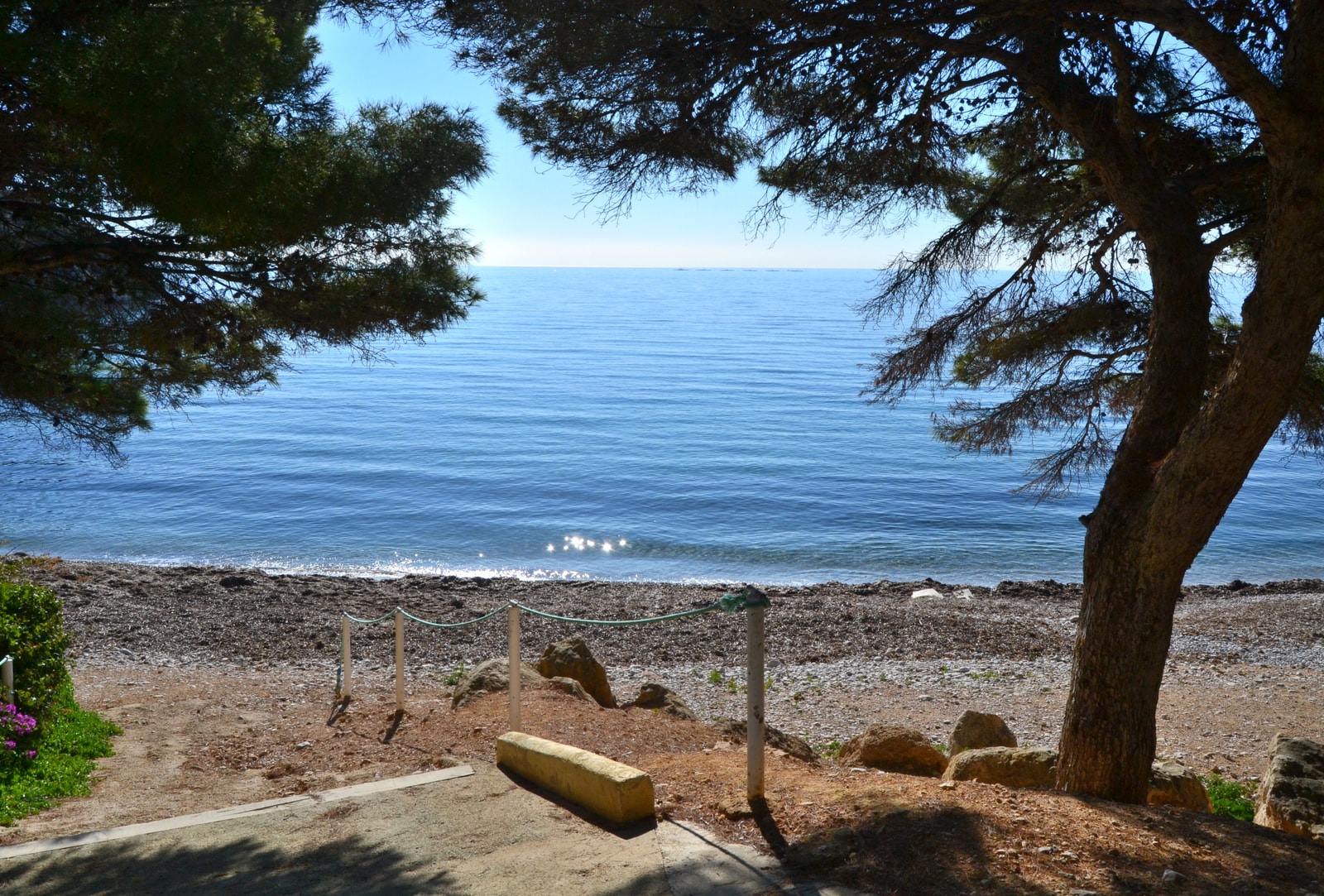 A view of Mascarat beach framed by the branches of a pine tree, creating a shaded, natural perspective.