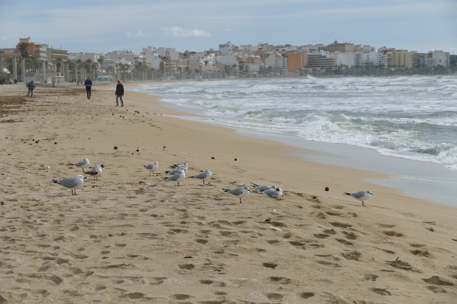 A wide sandy beach at dusk with a city skyline in the background, walkers on the shore, and gentle waves.