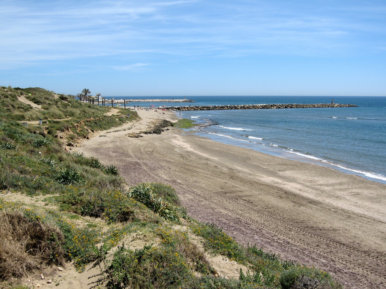 A view of the protected Artola dunes and coastal flora sloping towards the Mediterranean sea and a jetty.