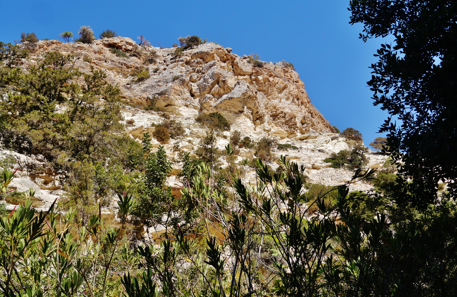 A sunlit limestone cliff and scrubby landscape in Avakas Gorge.