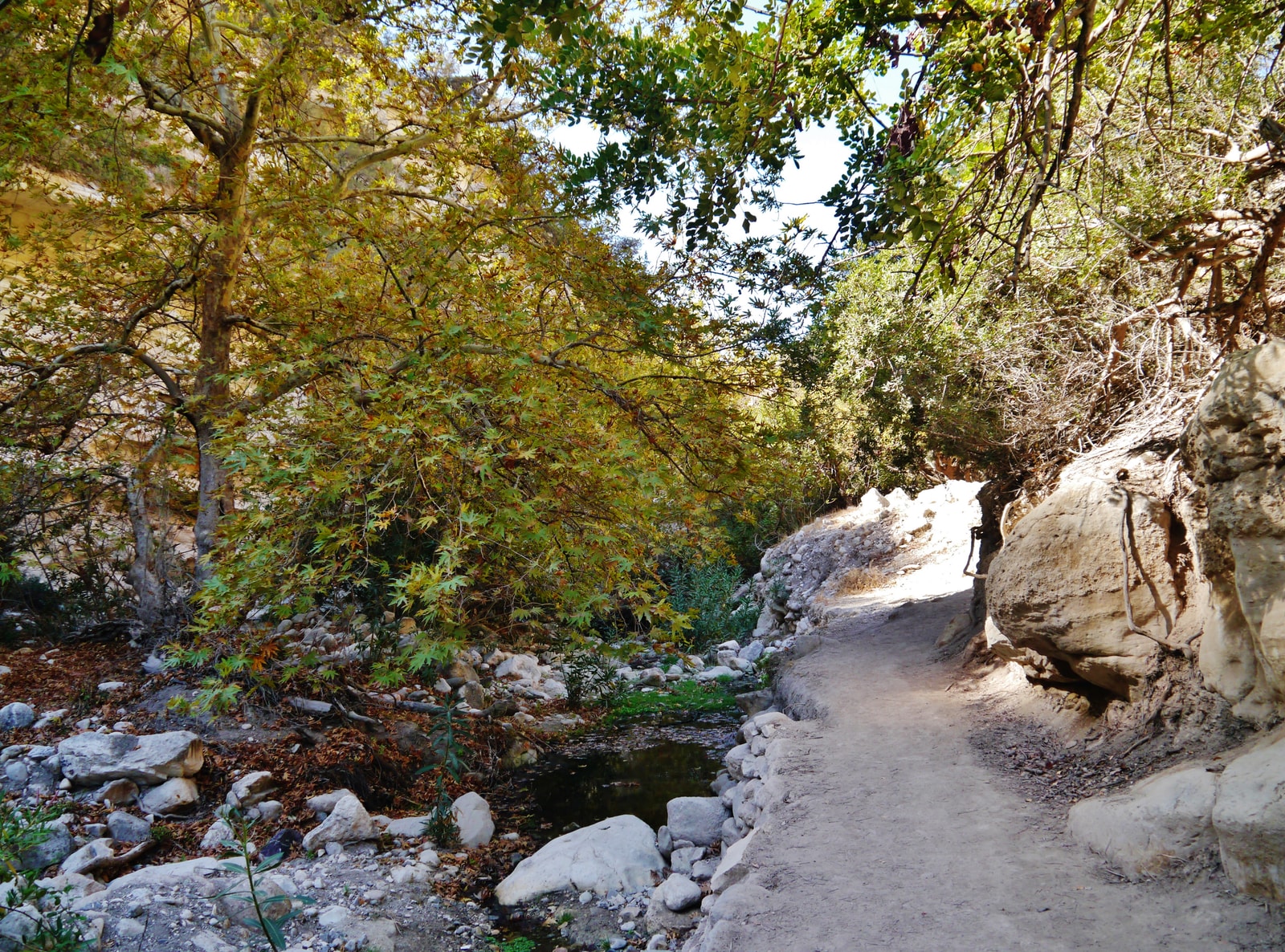 A walker follows a trail next to a shallow stream flowing through the Avakas Gorge, with rock walls on either side.