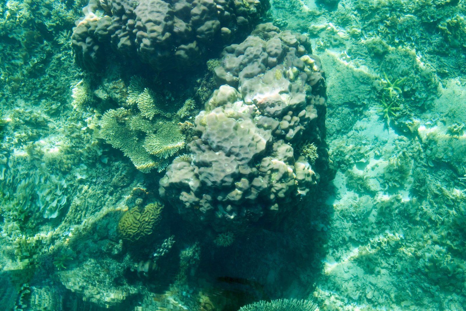 Colorful coral formations are visible through the clear, shallow turquoise waters of Bacuit Bay.