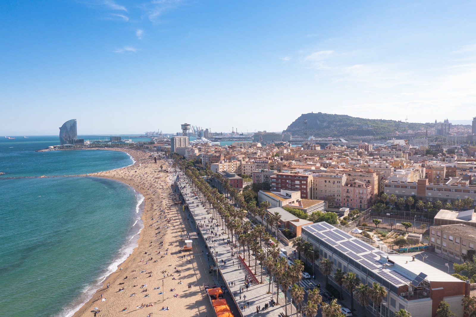 A high-angle view down the palm-lined promenade of Barceloneta, with the distinctive sail-shaped W Barcelona hotel in the background.
