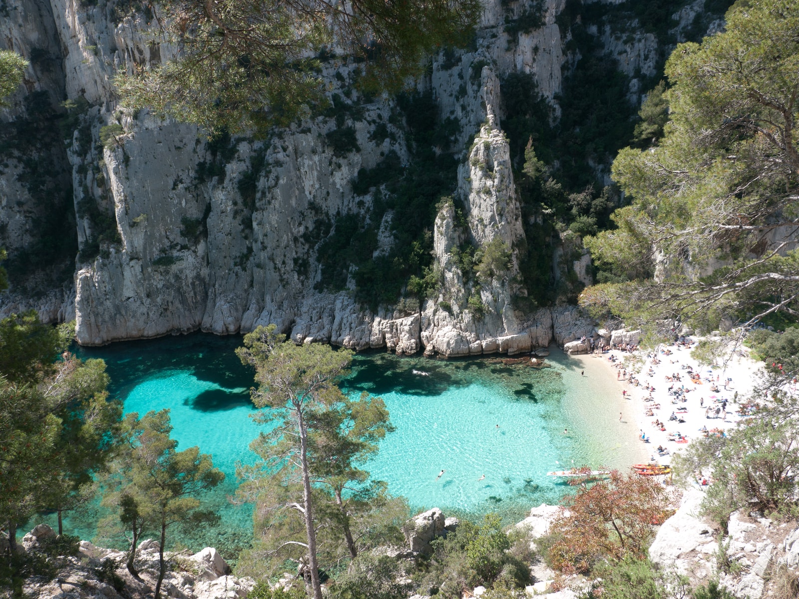 A view of the Calanque d'En-Vau beach, where people are swimming in clear turquoise water and relaxing on the white pebble shore, framed by tall cliffs and green pines.