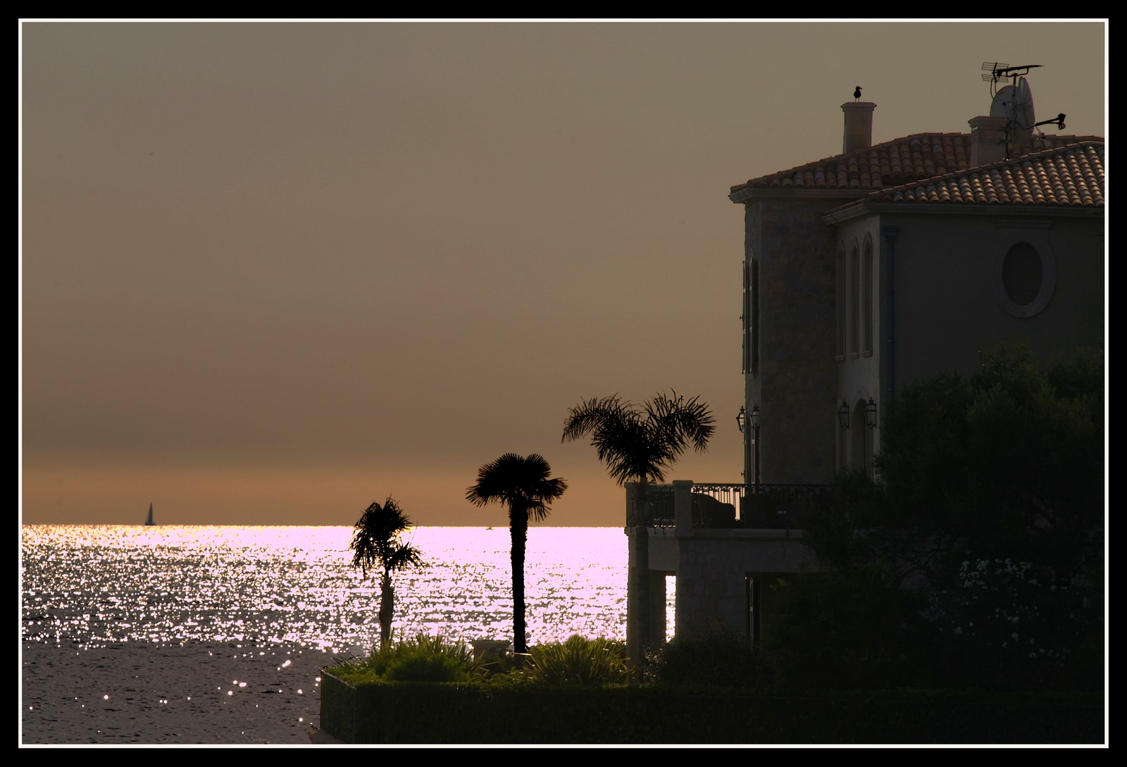A silhouette of palm trees and a waterfront villa against a warm, golden sunset sky.