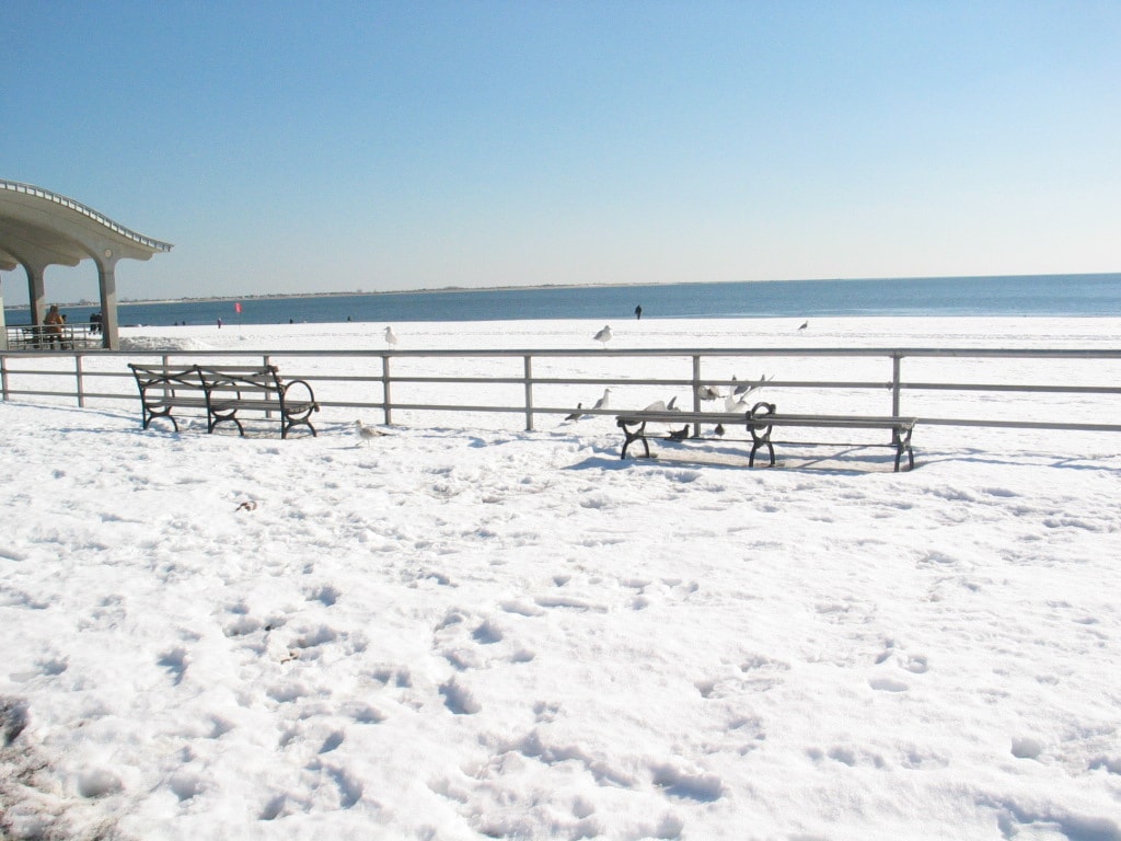 A quiet, snow-covered Brighton Beach in winter, with wooden benches and seagulls near the calm, gray Atlantic shoreline.