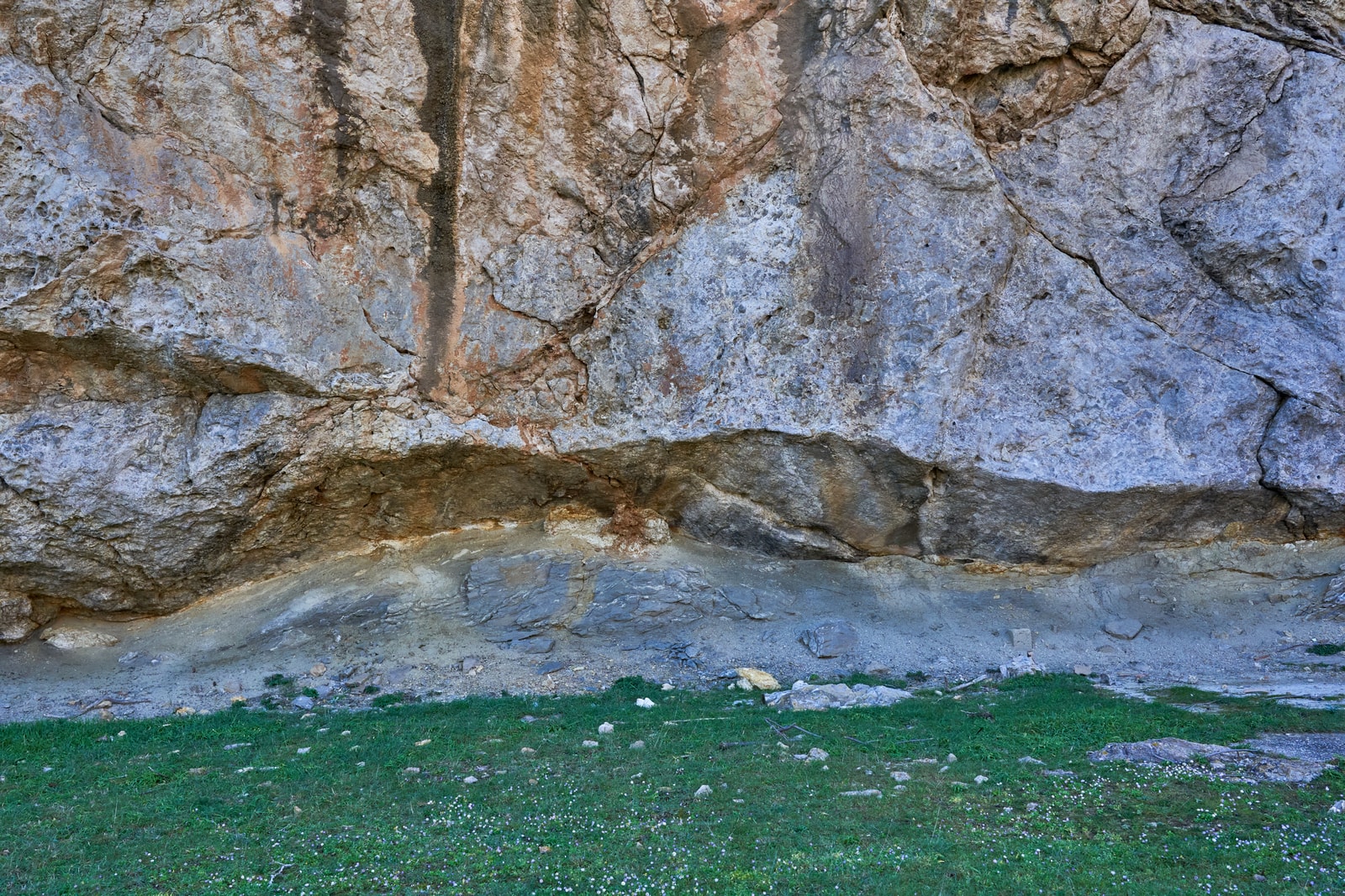 A close-up view of layered rock formations showing a geological thrust fault on a coastal cliff face.