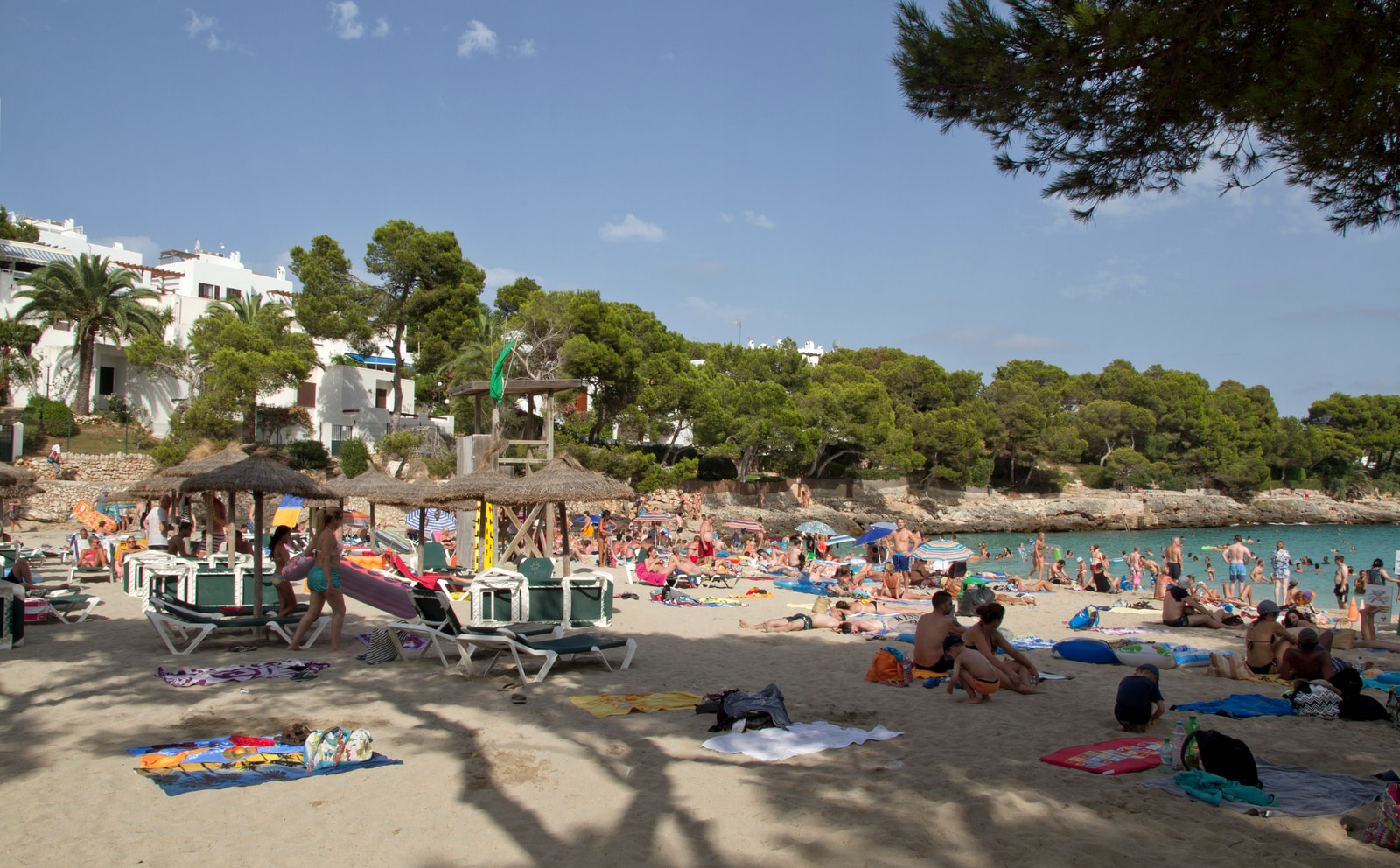 The sandy beach at Cala Gran is lined with sun loungers and umbrellas, framed by trees and rocky outcrops.