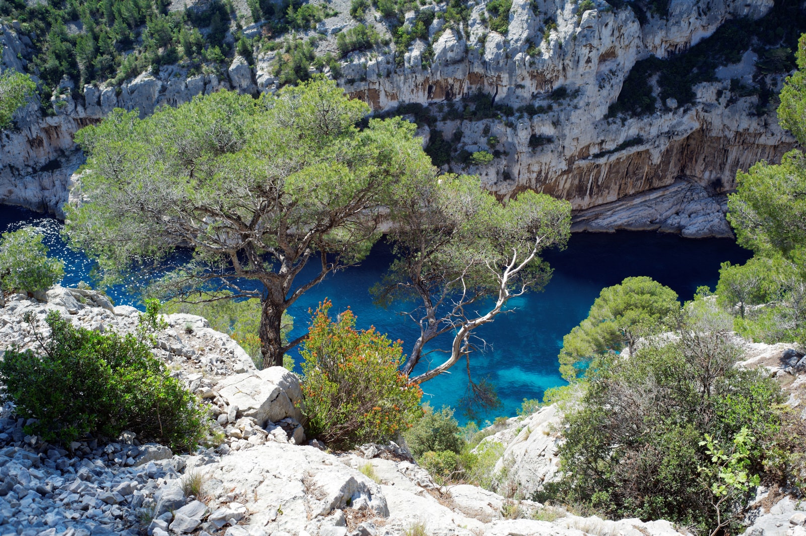 A high-angle shot of Calanque de Port-Miou, showing rugged white limestone cliffs dropping into vibrant turquoise water.