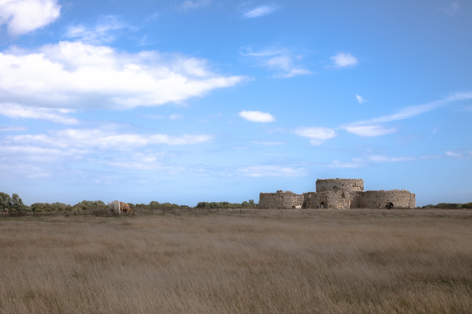 The ruins of Camber Castle, a 16th-century fort, now sit in a dry pasture far from the sea.