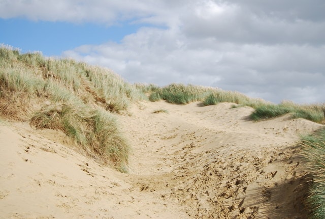 An area of sand dunes showing erosion and a 'blowout' where the wind has carved into the landscape.