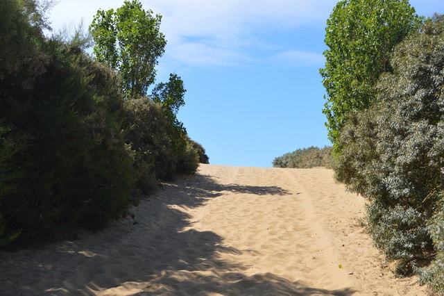 A wooden boardwalk provides a designated footpath through the sandy dunes towards the beach.