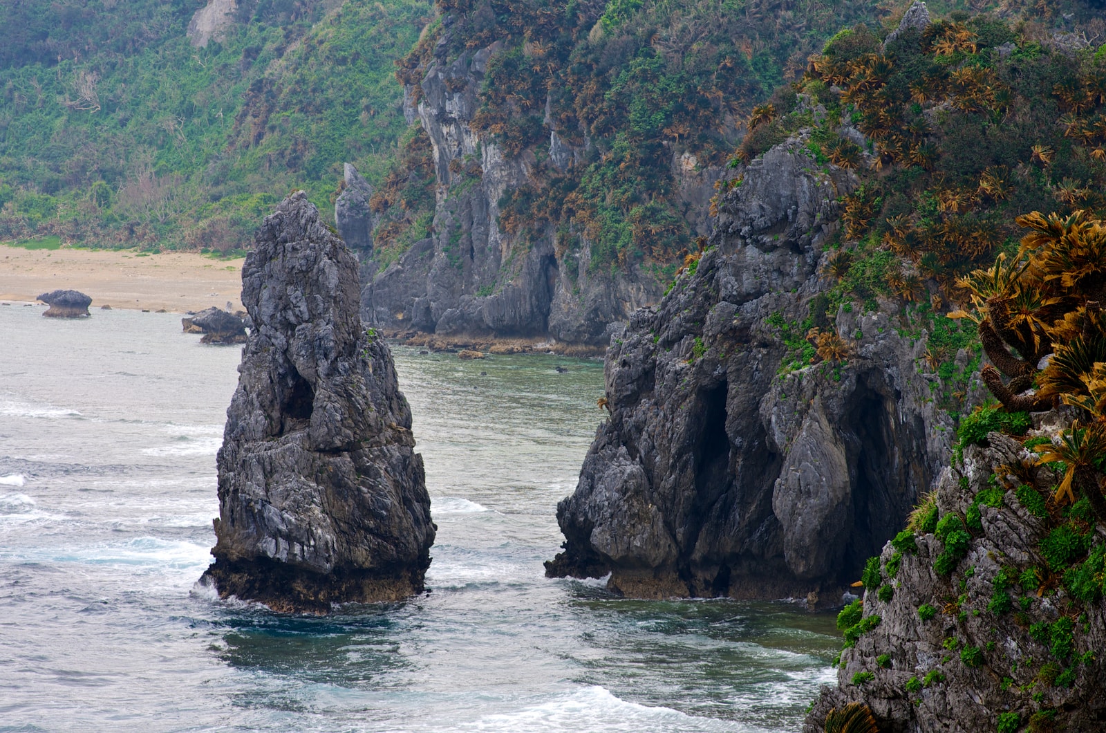 A dramatic coastal scene with a sea stack and rugged cliffs under a stormy sky.