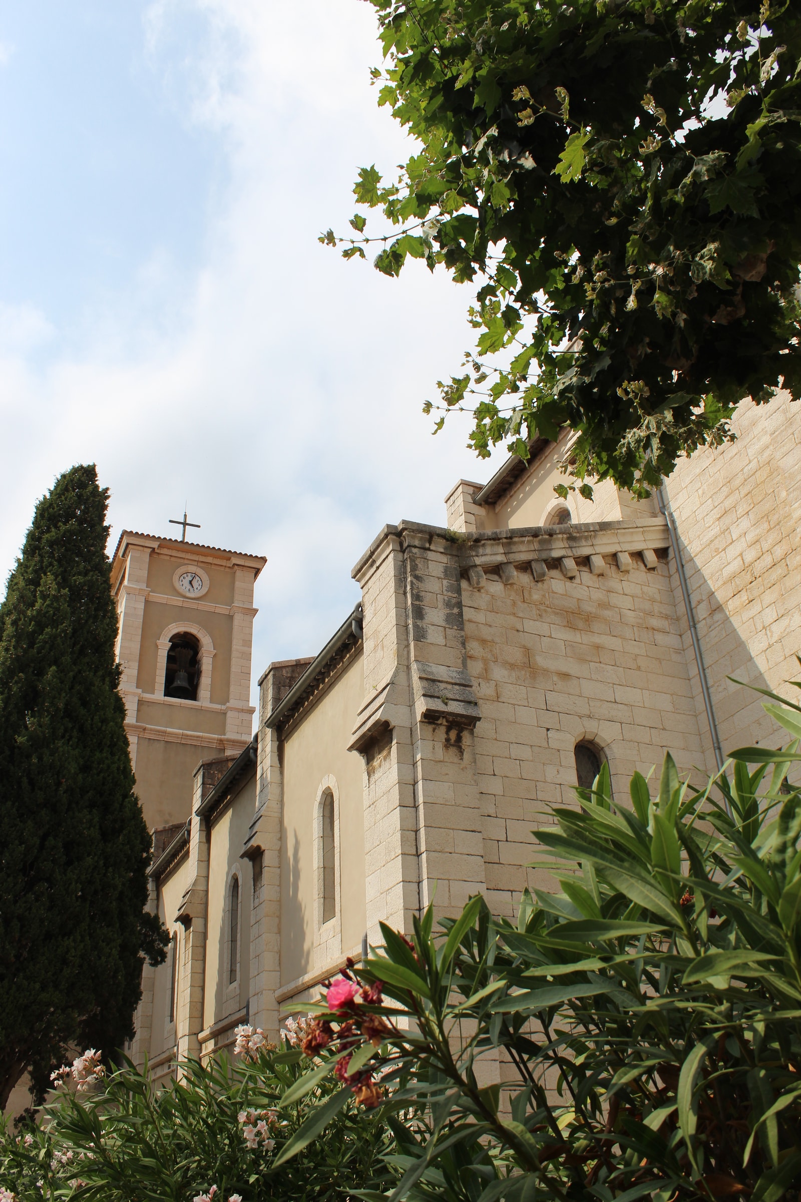 A low-angle view of the light-stone Saint-Michel Church in Cassis, with its square bell tower framed by bright pink flowers.
