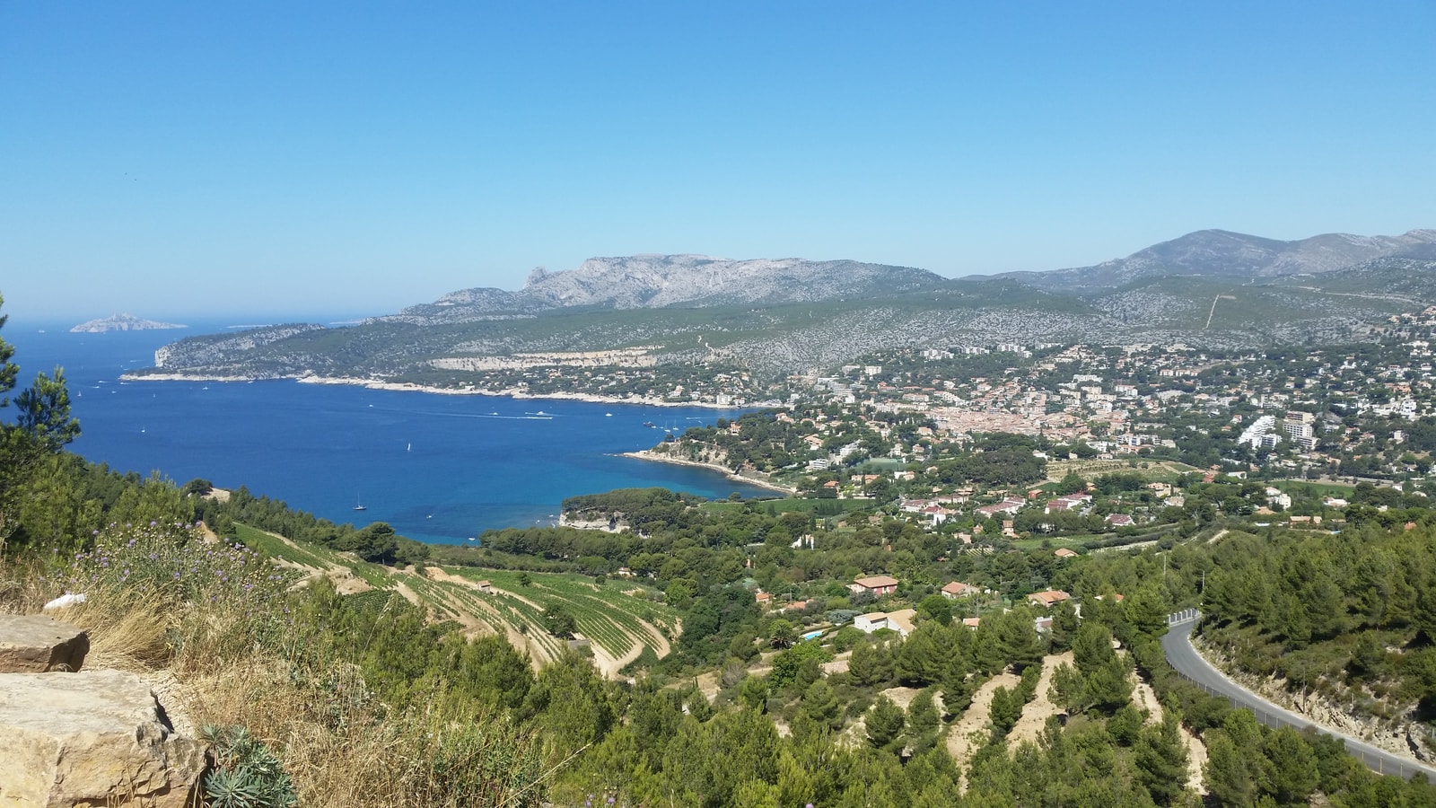 A sweeping panoramic view of Cassis, showing the green, terraced vineyards sloping down towards the town, the harbor, and the blue sea.