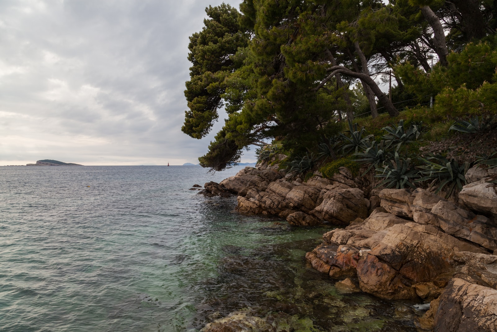 A rocky shoreline in Cavtat with green pine trees leaning over the clear, turquoise water.