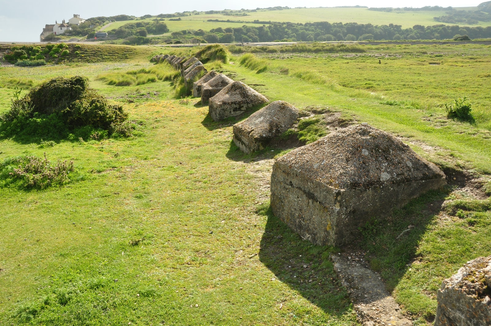 Historic concrete anti-tank defenses from World War II are visible in a field at the edge of Cuckmere Haven beach.