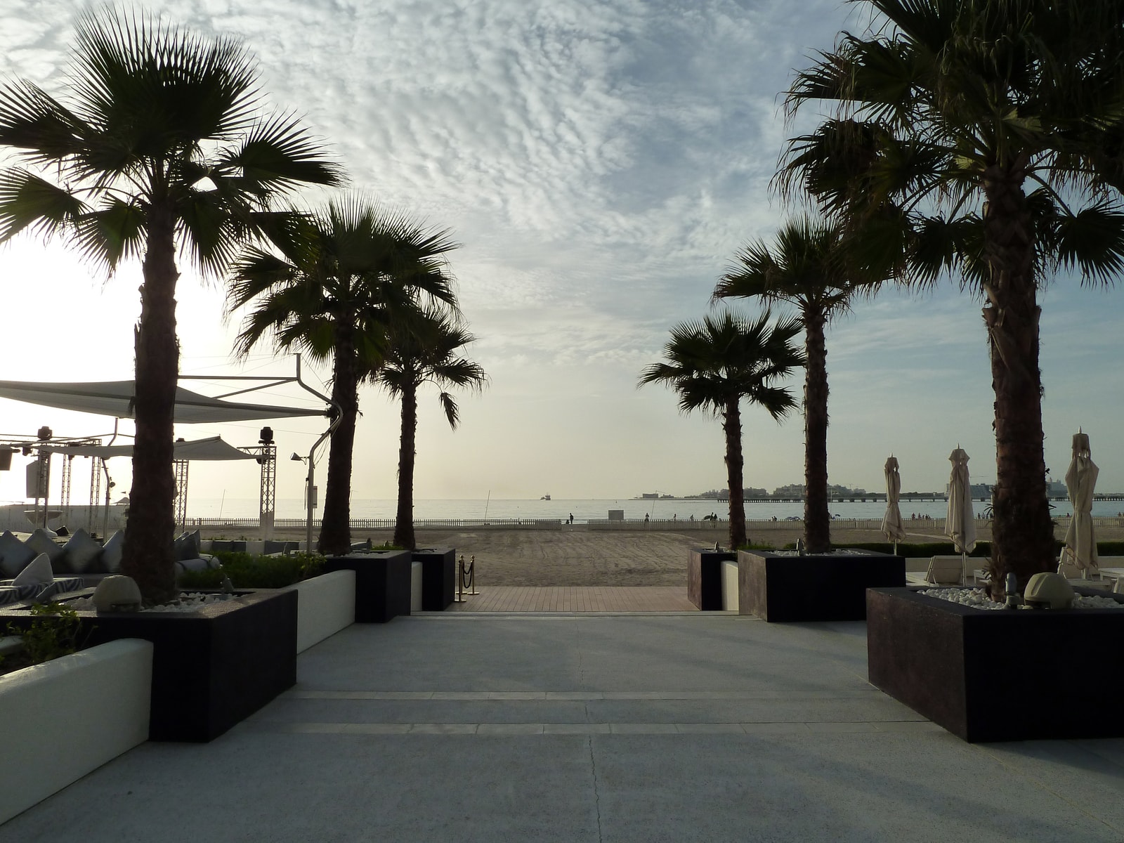 A symmetrical view down a walkway lined with palm trees, with comfortable beach loungers on either side under a clear blue sky.