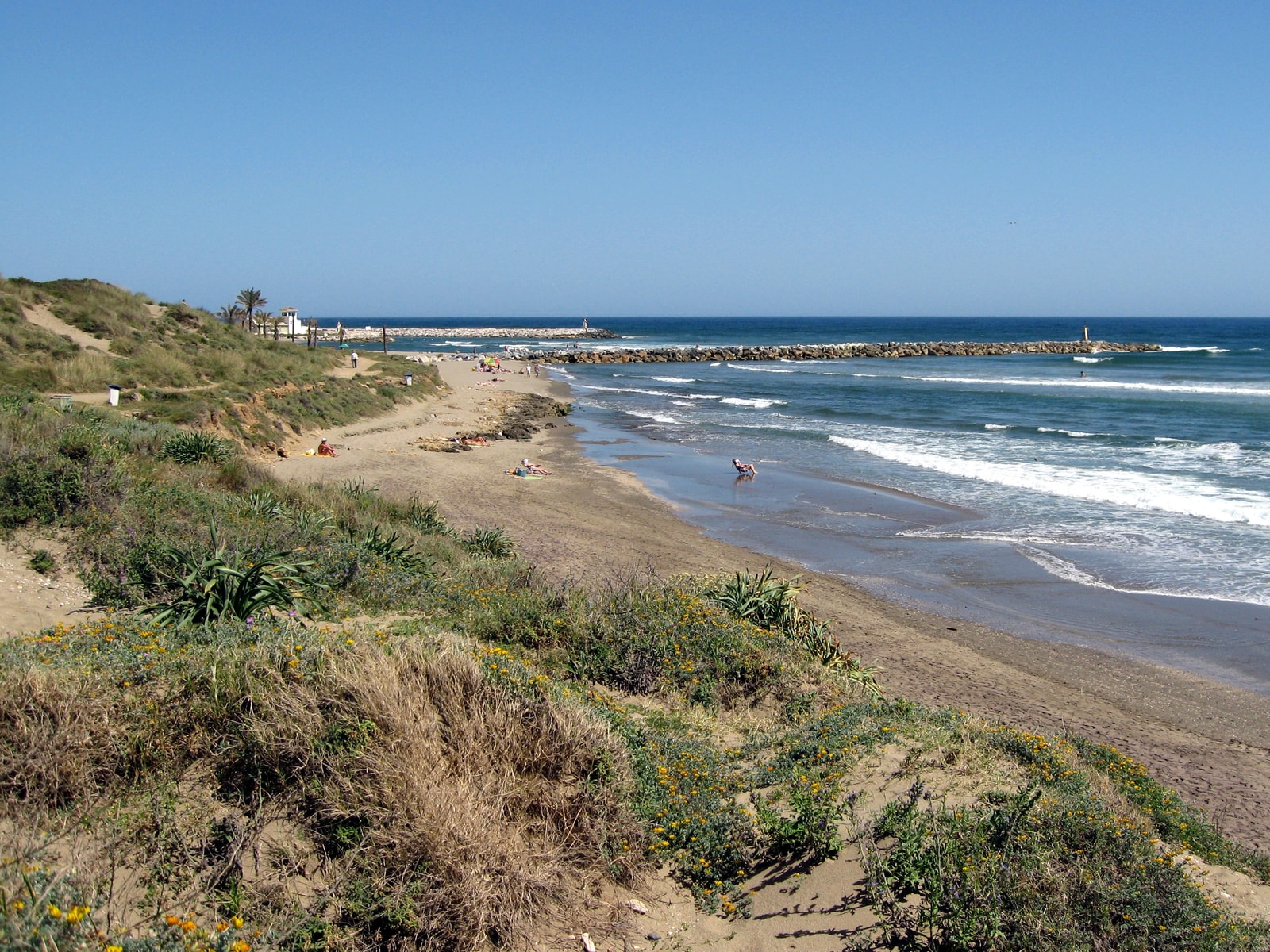 View of the protected Artola fossil dunes, with native vegetation sloping down towards the golden sands of Cabopino Beach and the Mediterranean Sea.