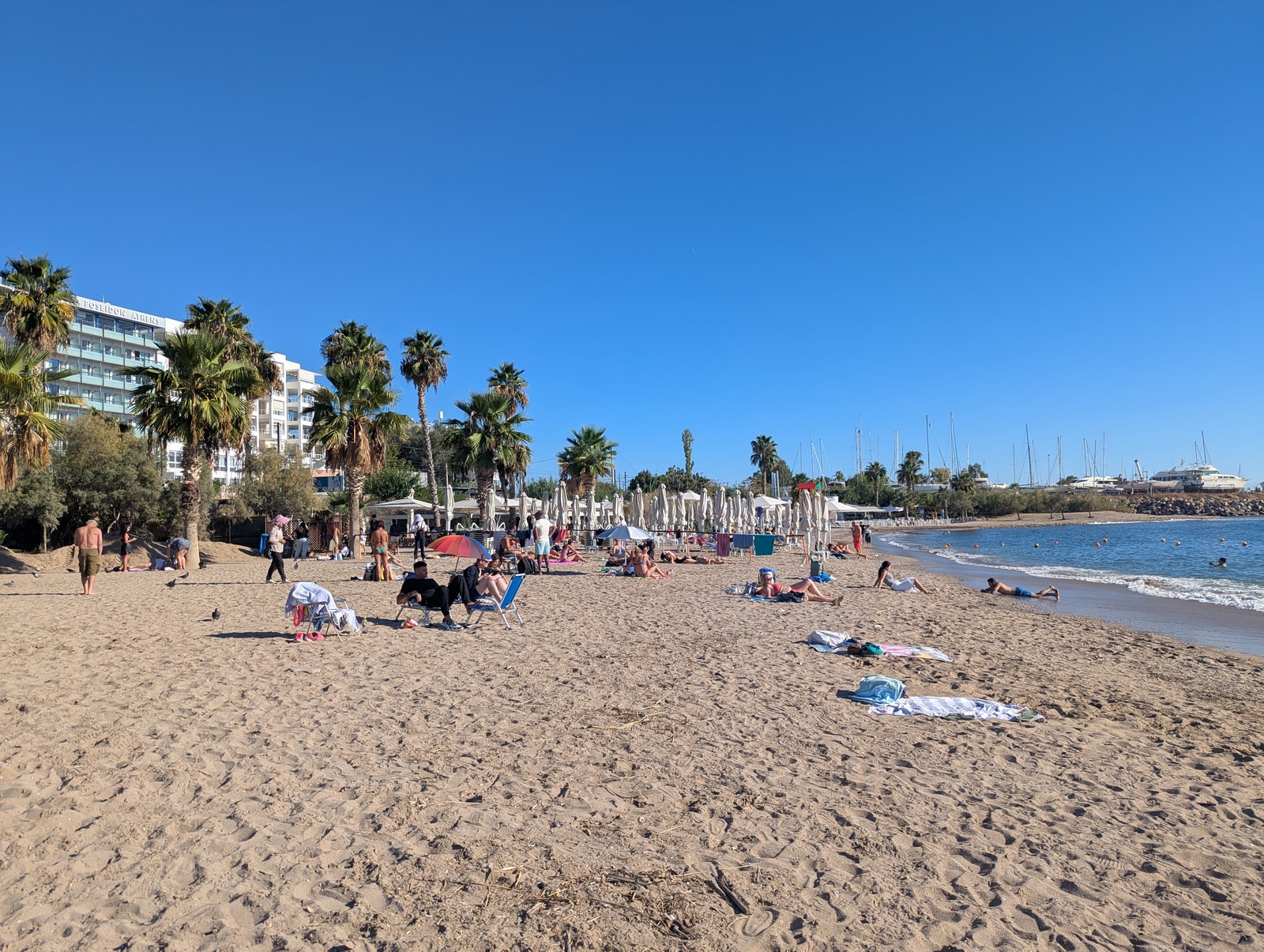 A sandy beach next to a marina, with palm trees and the city waterfront in the background.