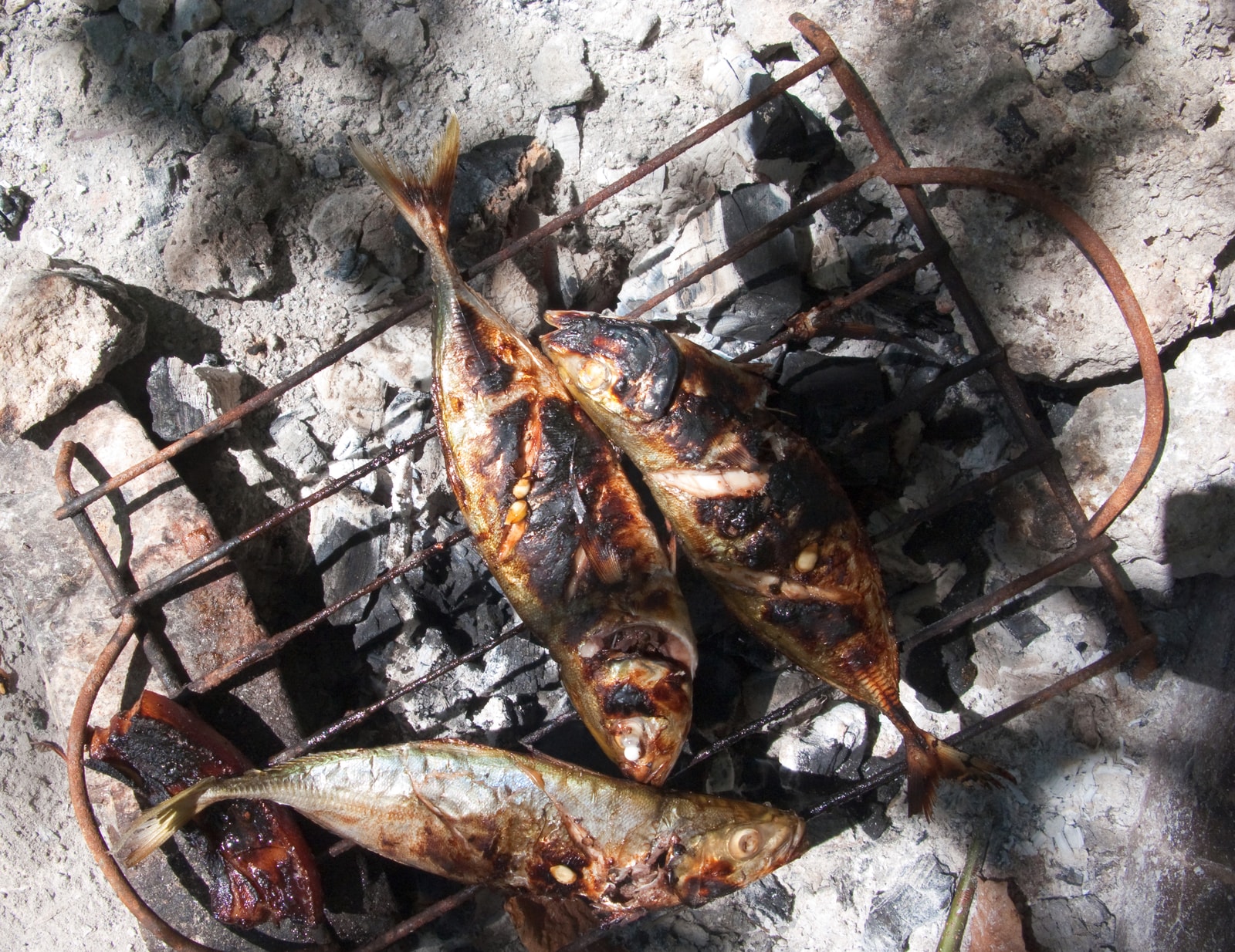 Two whole grilled fish are presented on a plate, a typical lunch prepared during island-hopping tours.
