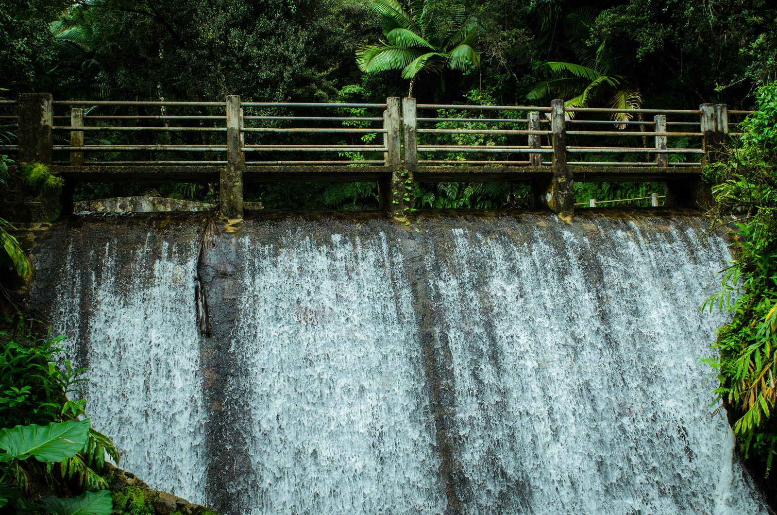 A stone bridge crosses over a wide, cascading waterfall known as Baño Grande in a dense rainforest.