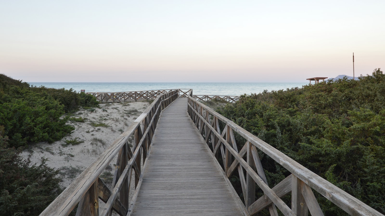 A wooden boardwalk path winds through low, green coastal vegetation towards the sea.