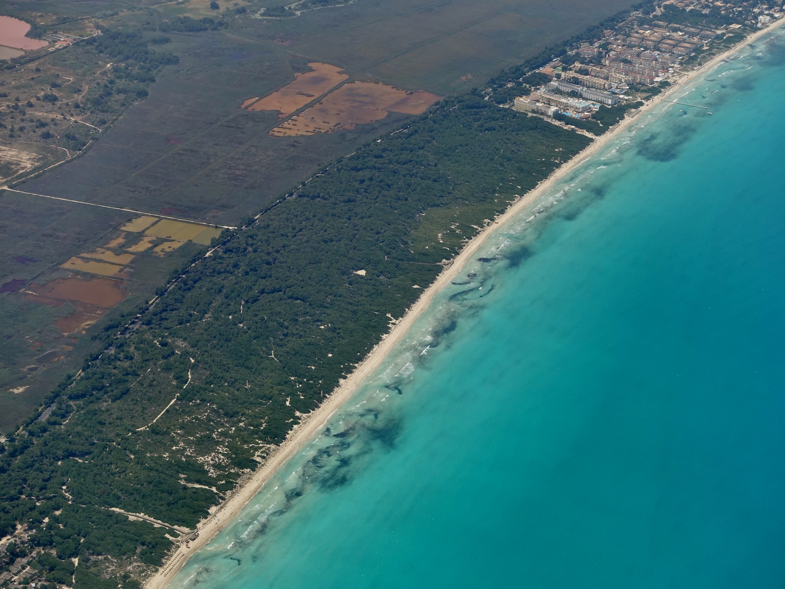 An aerial shot shows a strip of sandy beach and turquoise water bordered by a dense green forest.
