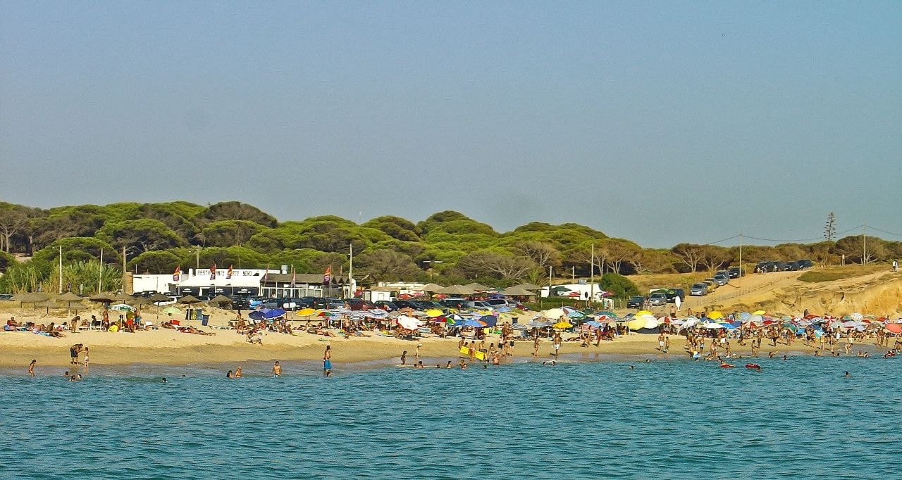 Praia do Forte Novo from the water