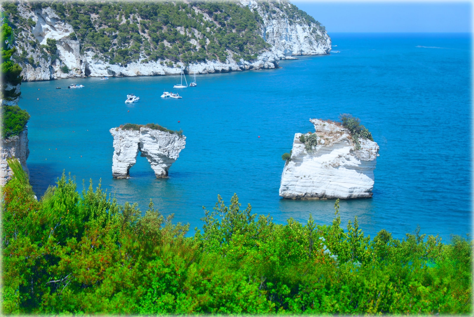 The majestic white chalky cliffs and turquoise coves of Baia dei Mergoli, framed by green Mediterranean pine branches.