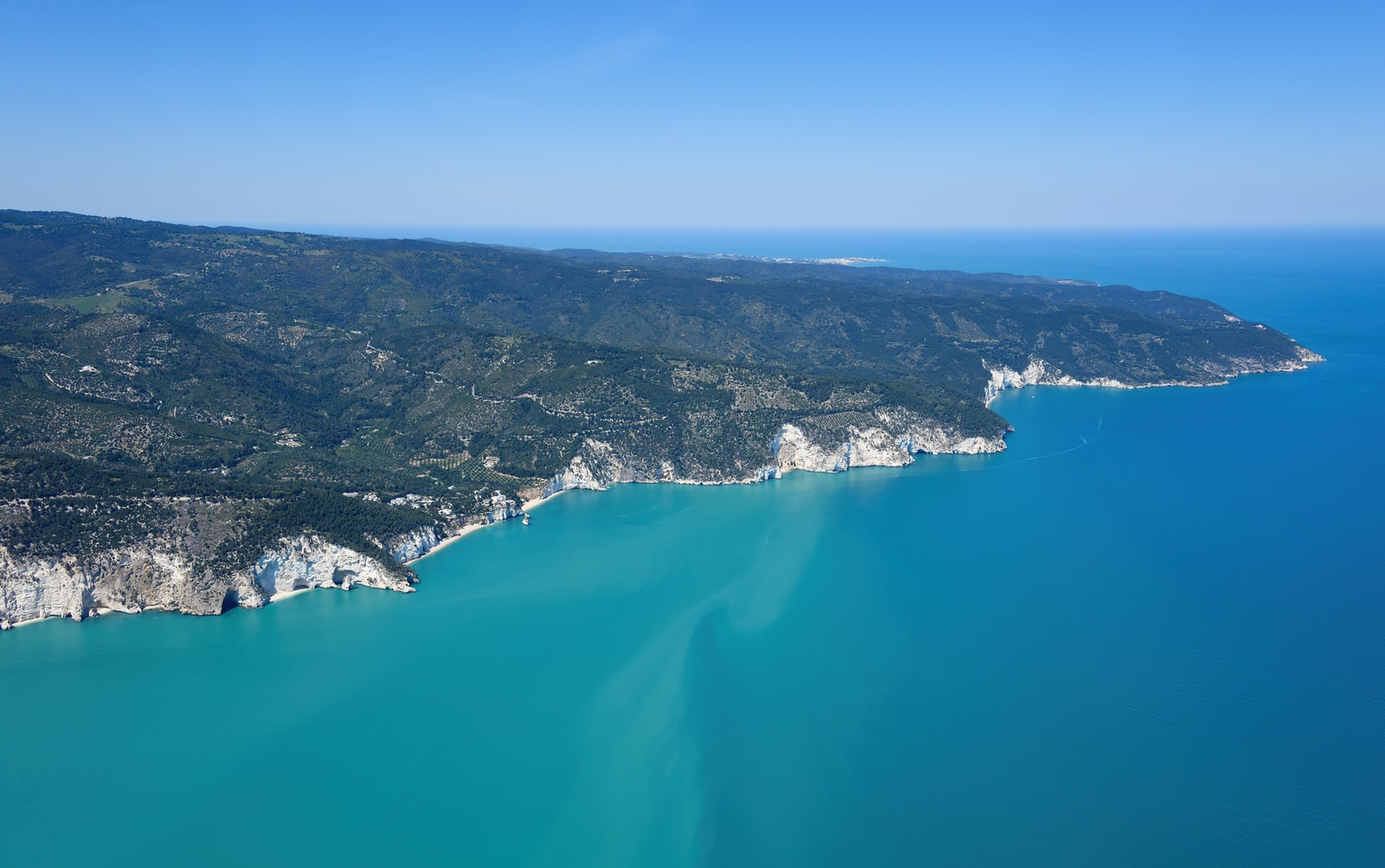 An aerial view of the rugged southeast coast of the Gargano peninsula, showing sheer white cliffs, dense green pine forests, and turquoise Adriatic water.