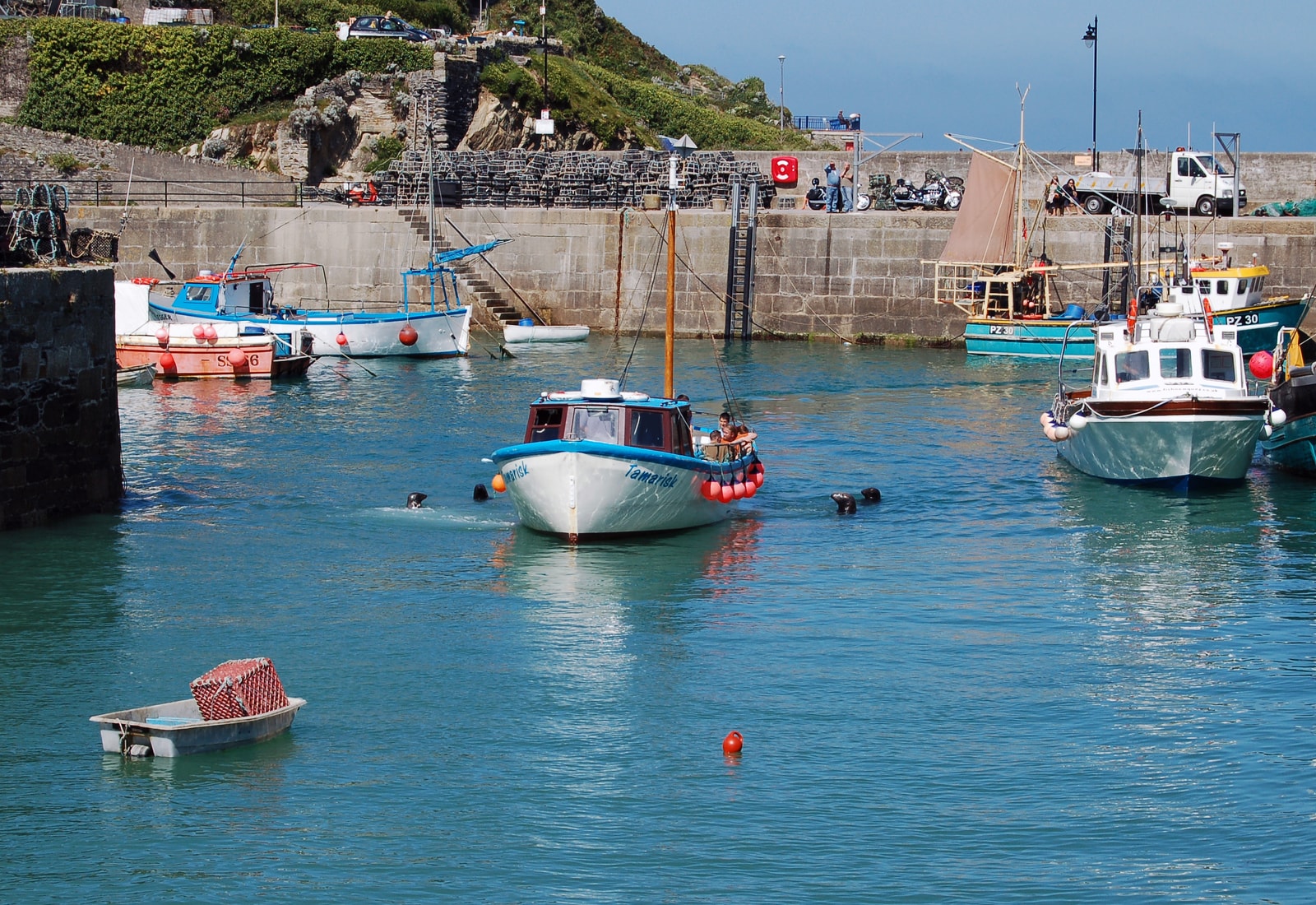 Several grey seals bob in the turquoise water of a harbor next to boats.