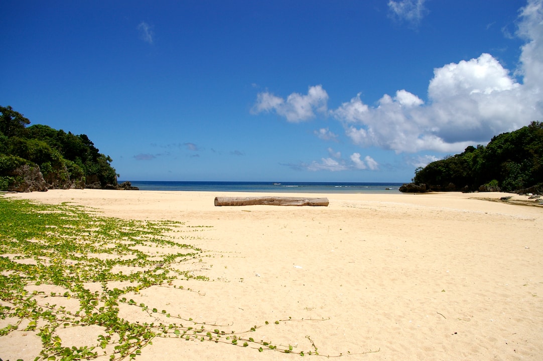 A small, secluded beach with interesting rock formations and clear water.