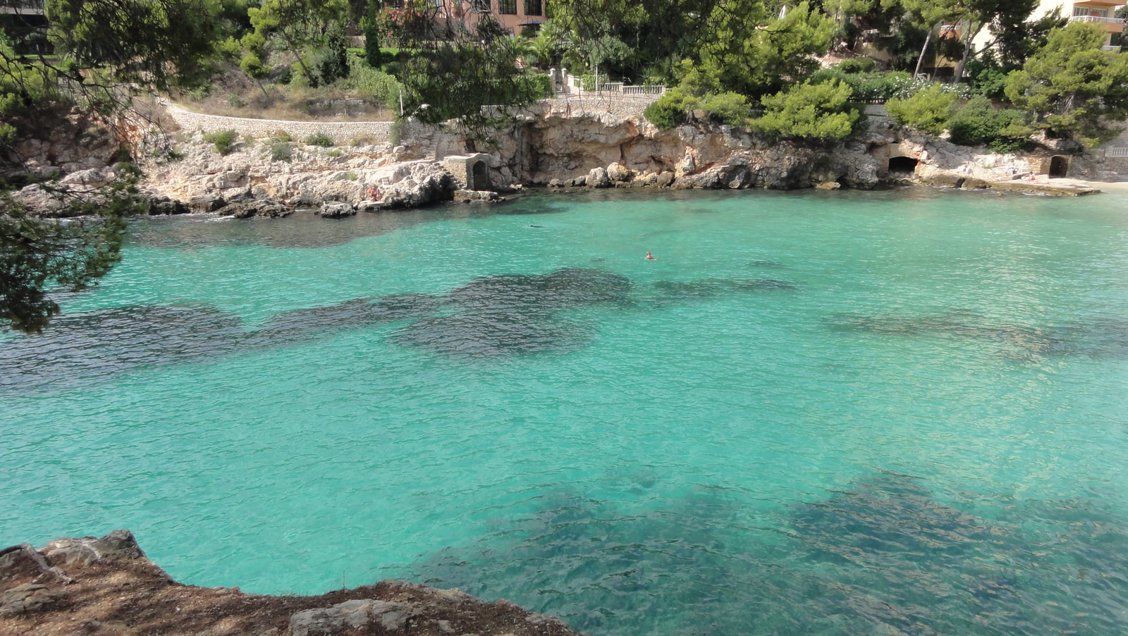 A sheltered cove with turquoise water, surrounded by rocky ledges, lush pine trees, and a few buildings visible in the background.