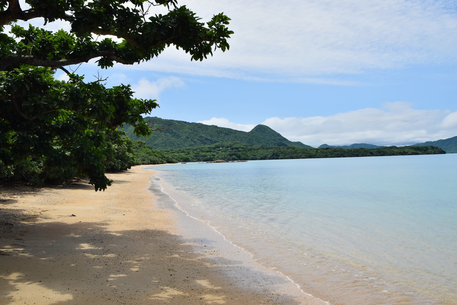 A sandy beach cove next to a lush, forested headland under a blue sky.