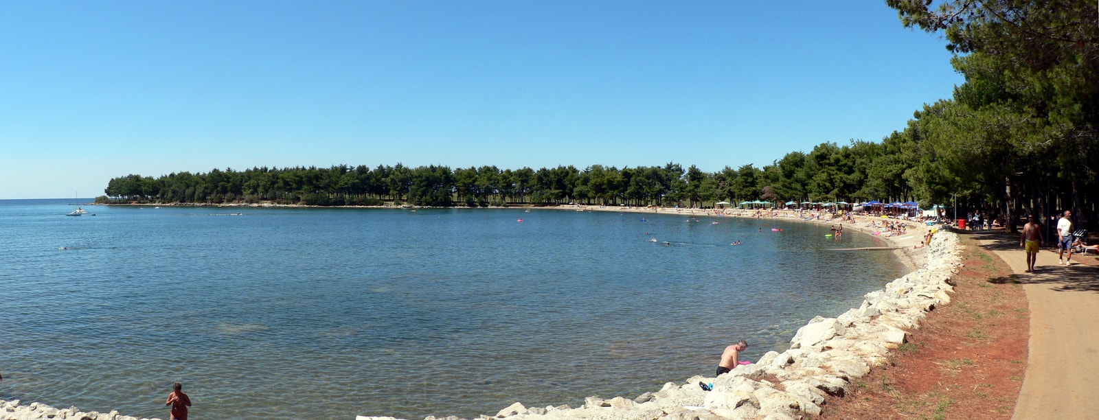 A panoramic view of a rocky, pine-shaded coastline in Poreč, with stone-paved paths for sunbathers.