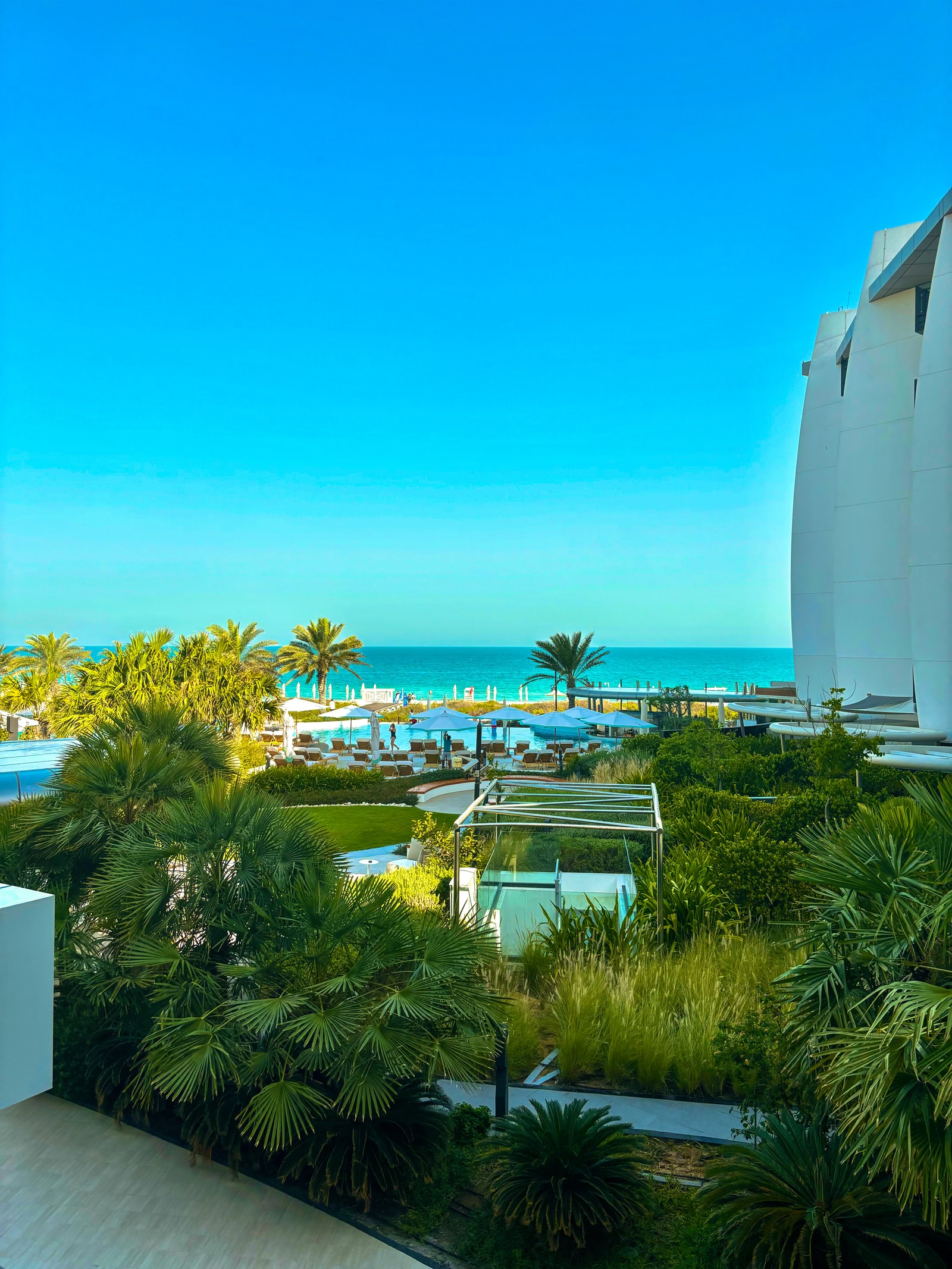 A luxury resort on Saadiyat Island shows multiple swimming pools, palm trees, and manicured gardens leading down to a wide, sandy beach.