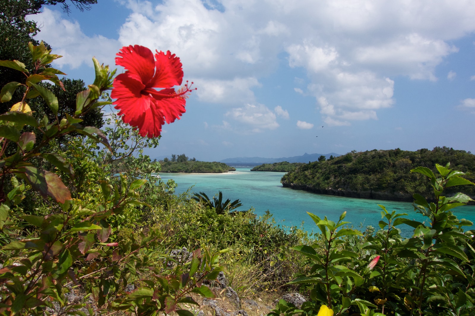 A view of Kabira Bay's emerald water, with boats and islands, framed by red hibiscus flowers.