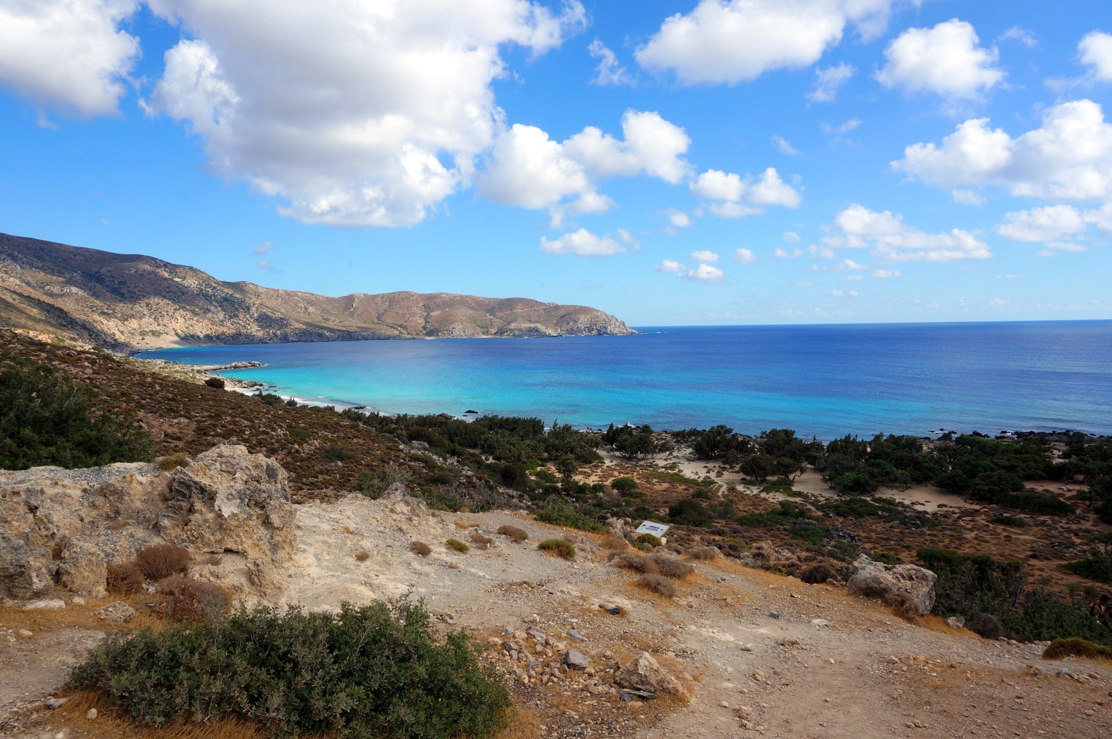 A view of the secluded Kedrodasos Beach, showing its clear water and the juniper trees that line the shore.