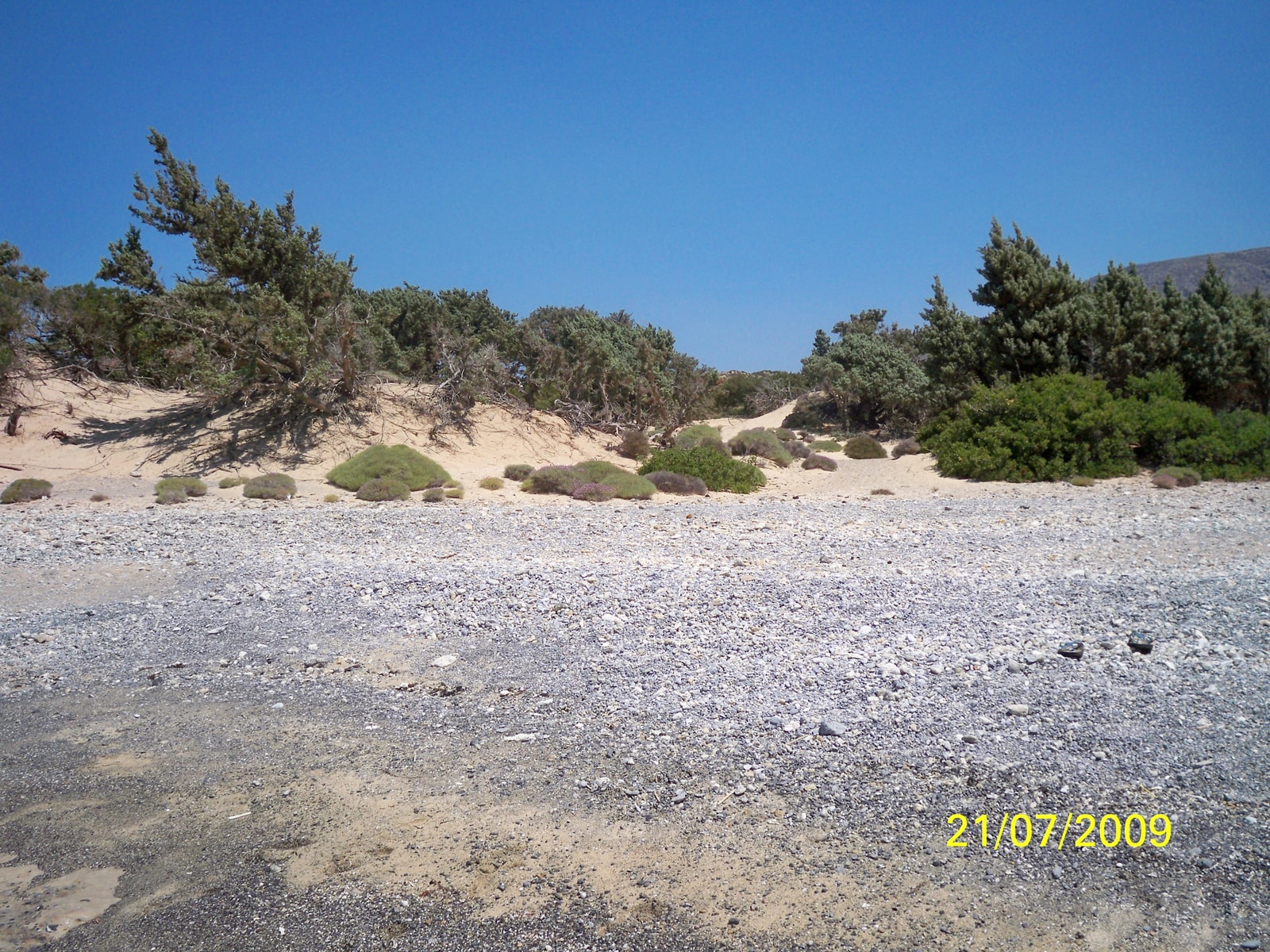 The wild landscape of Kedrodasos, with juniper trees growing on the sand dunes by the turquoise sea.