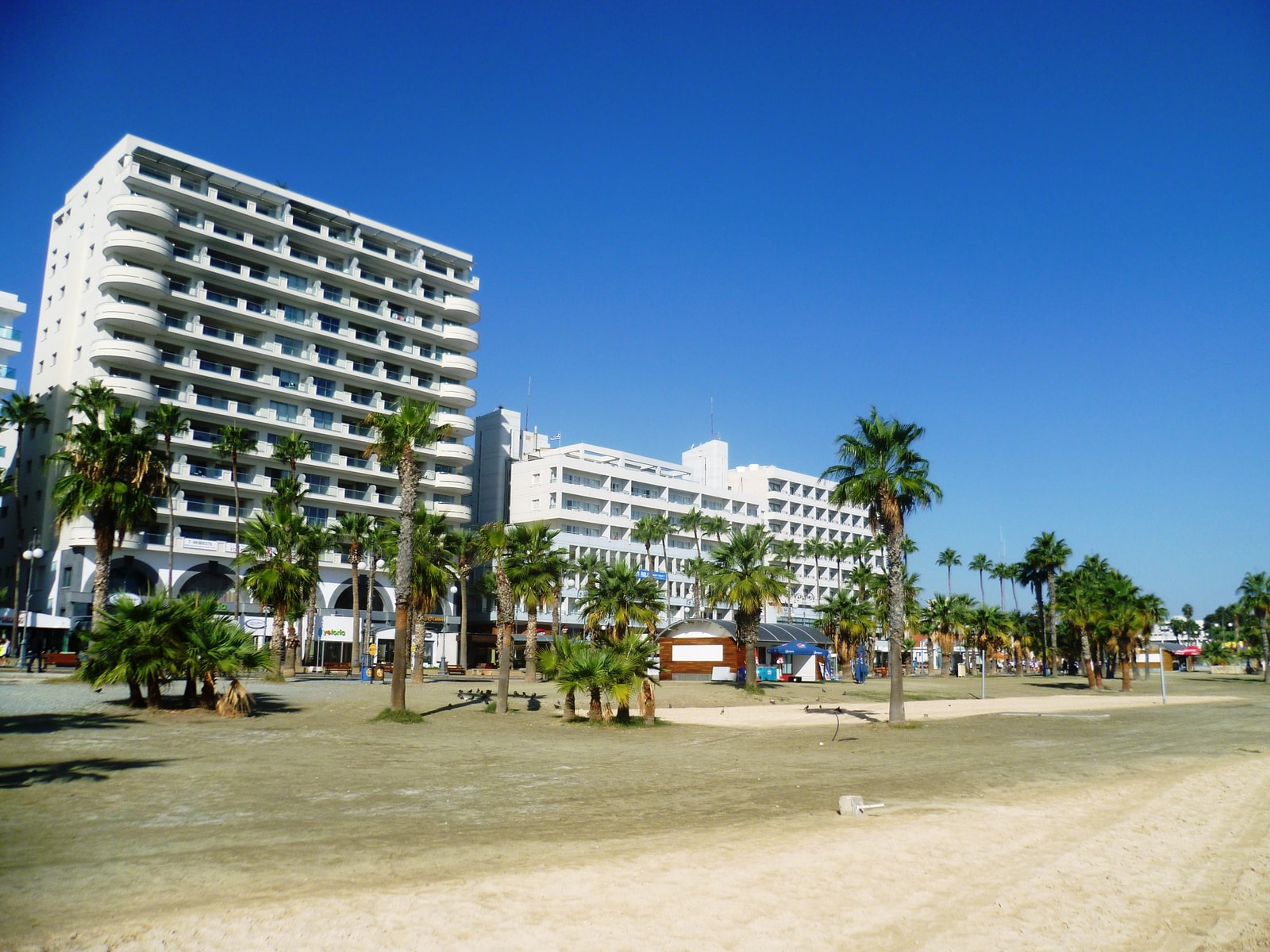 A view of Finikoudes beach with hotels lining the waterfront and palm trees along the promenade.