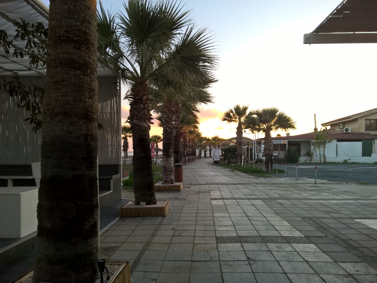 The promenade at Mackenzie beach is lined with palm trees and lit by the warm glow of a sunset.