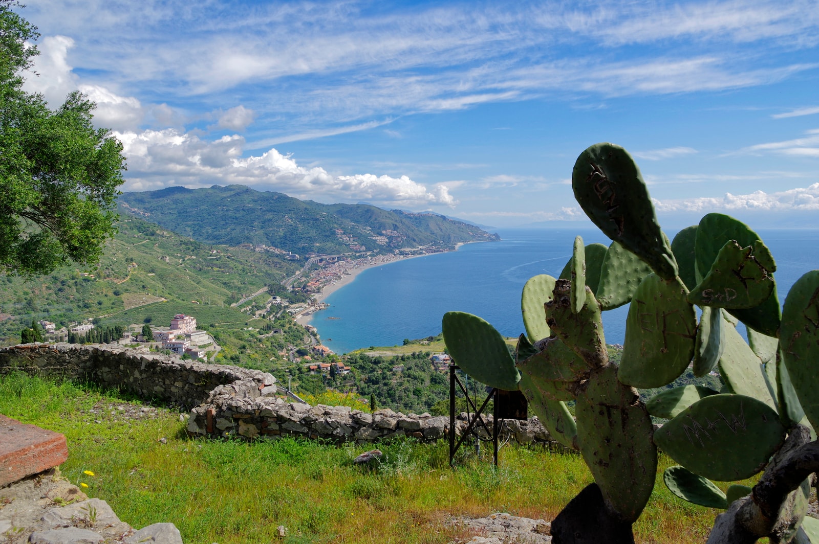 A panoramic view of the Letojanni coastline, framed by a classic Sicilian prickly pear cactus in the foreground.