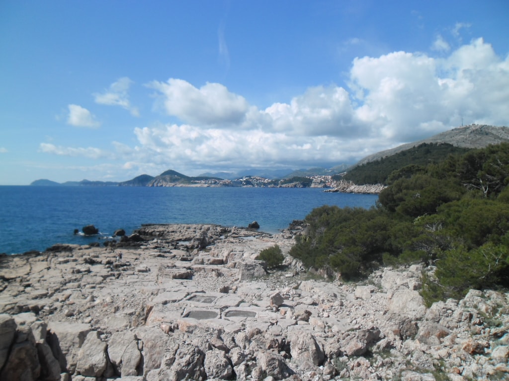 A view of an undeveloped rocky coastline with green vegetation and distant hills across the water.