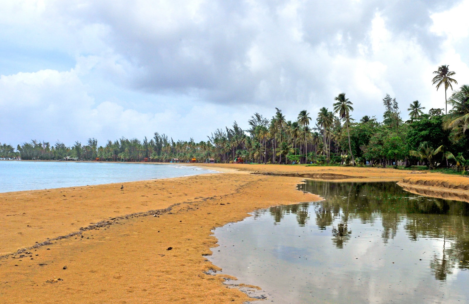 A reflective pool of water in the foreground mirrors the palm trees lining the sandy beach behind it.