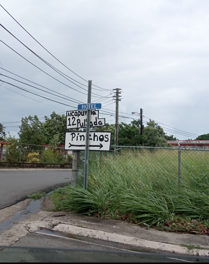 A hand-painted sign in Spanish advertises 'pinchos' (skewers) for sale on a roadside.