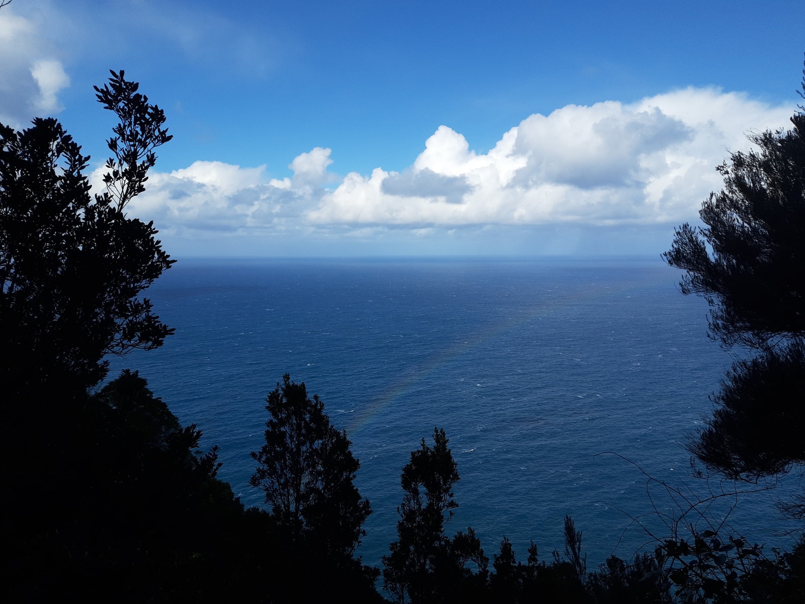 A vibrant rainbow arcs over the ocean near a green, hilly coastline.