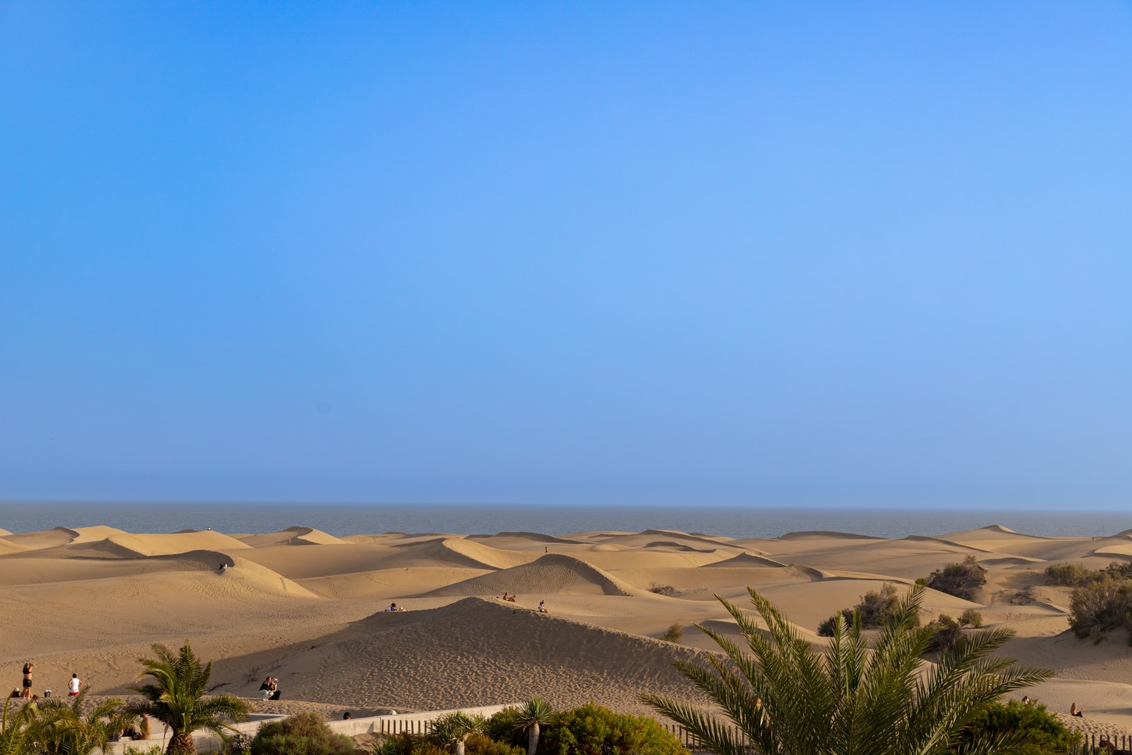 An aerial view shows the dramatic, wind-sculpted peaks and ridges of the golden Maspalomas sand dunes against a blue sky.
