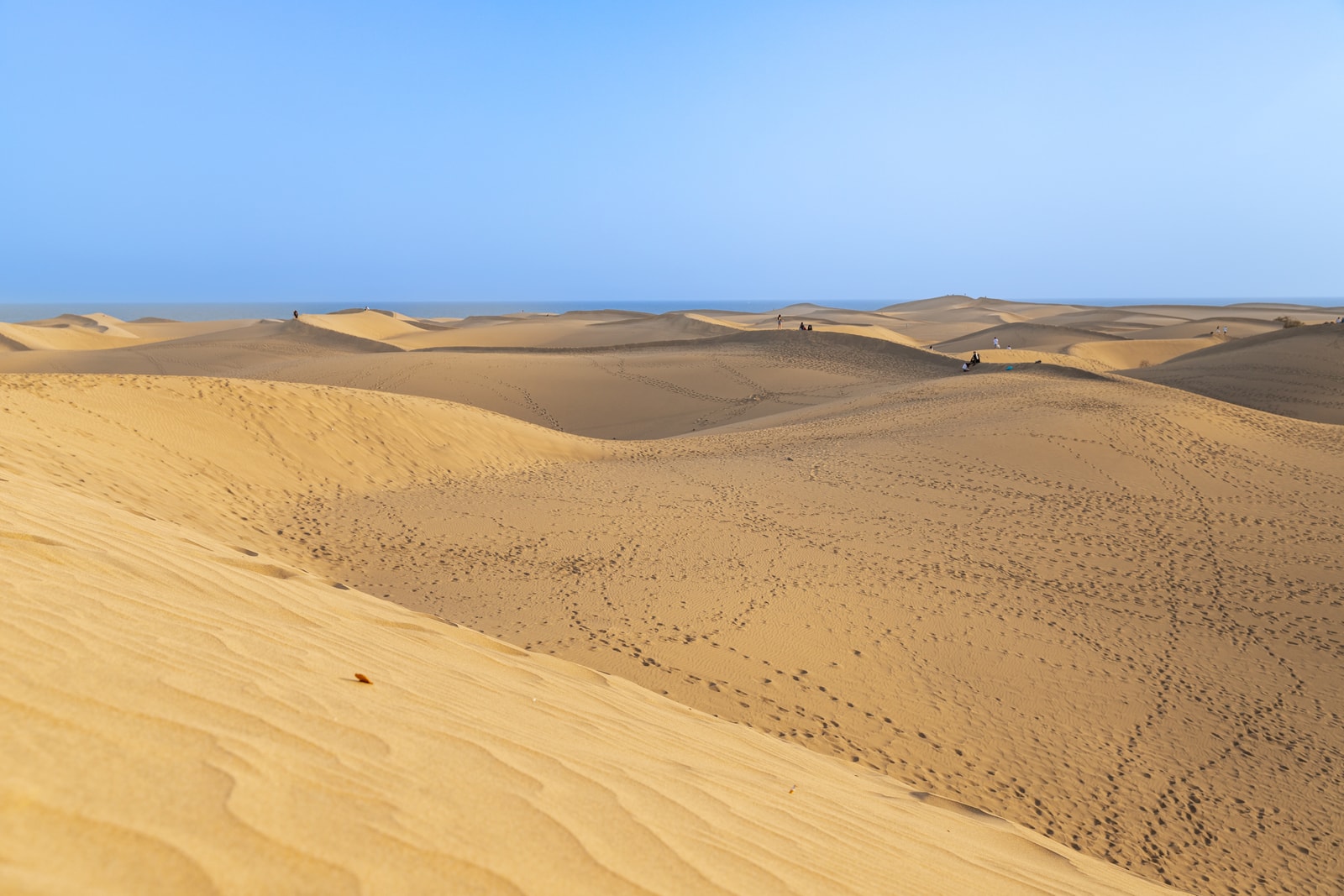 An aerial photo shows the intricate, wind-blown patterns and textures on the surface of the vast Maspalomas sand dunes.